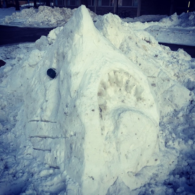 SnowShark-Instagram